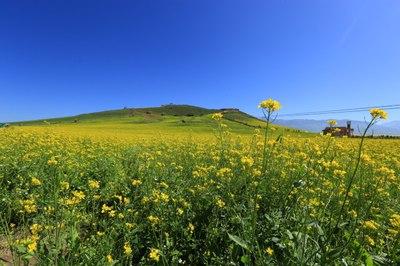 我们应该用什么来洗我们的心？