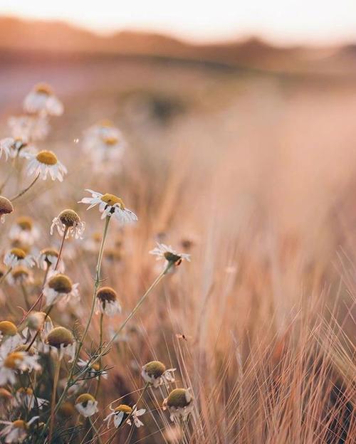 经典语录：人性最特殊的弱点之一就是关心他人如何看待自己