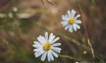 朋友圈最励志的10个段子