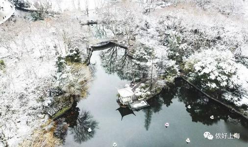 复旦女孩，听见鲜花在寂静的世界中绽放
