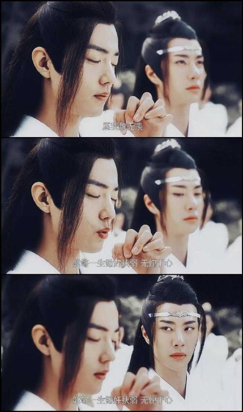 陈庆龄经典语录