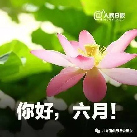 五月和六月见，谈论你的朋友圈