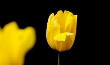 实现梦想的可能性，才使生活变得有趣