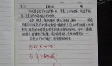 军训生活高中作文