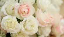 这世界的每个角落，都有正在奋斗的人