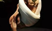 被瞧不起后如何成为别人高攀不起的人的？