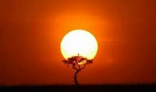 励志文章：机会其实都是自己给的