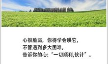 经典励志文章：生活再难也要奋斗