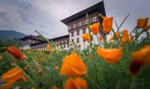 真切幸福地活在现在