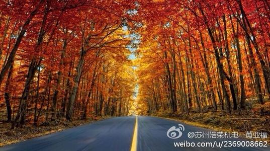 不立即行动意味着放弃