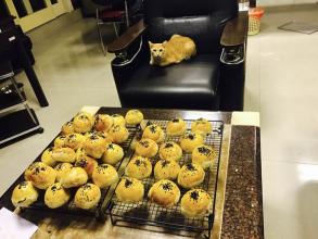 我幻想着未来无数次