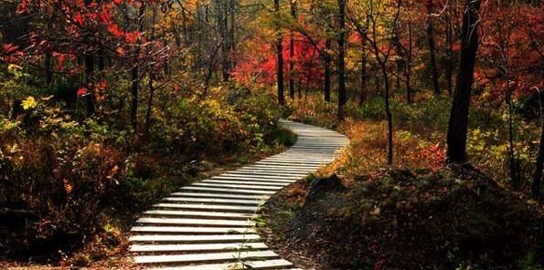 勇往直前，智慧转弯