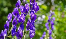 人生不要害怕从零开始