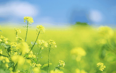 经典励志文章：善待疼痛