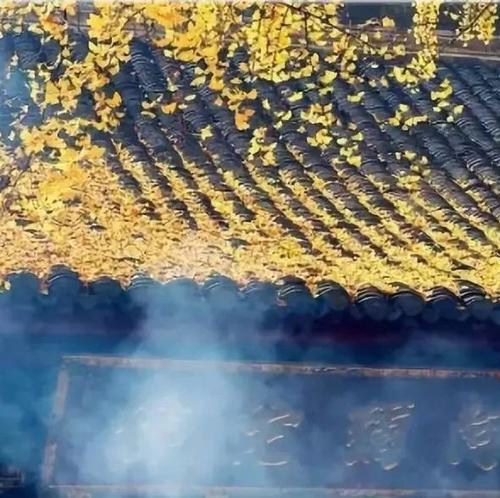 谁让上帝死，谁先让他膨胀