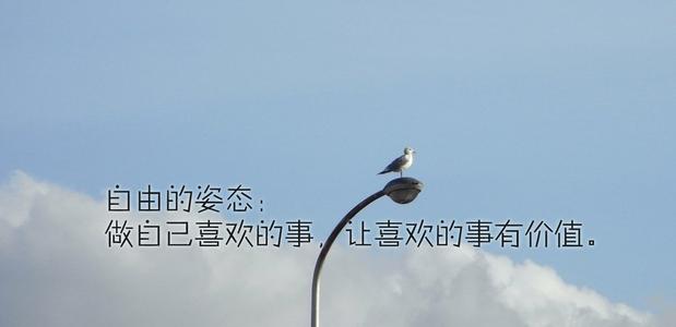 经典励志论文：硬石