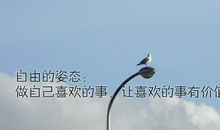 经典励志短文：顽石