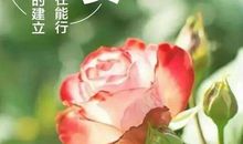 比较激励人的句子