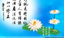 形容心死的句子