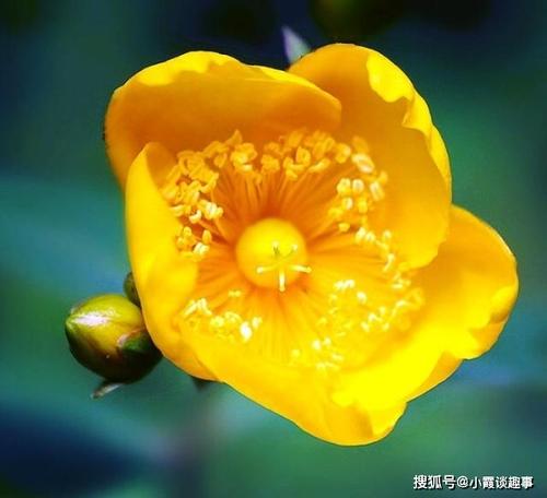 经典语录：最痛苦的事实胜于最甜蜜的谎言