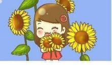 对糟糕的生活说“不”：不讨好，不解释，不勉强，不凑合