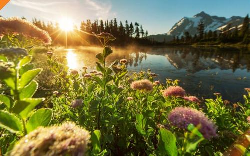 在漆黑的夜晚，我了解黎明的曙光