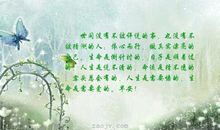 关于生命的优美句子