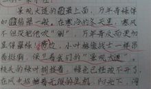 学生在校表现评语