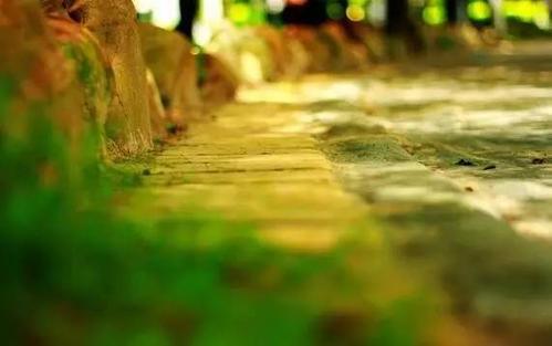 鼓舞人心的故事：一生走好路