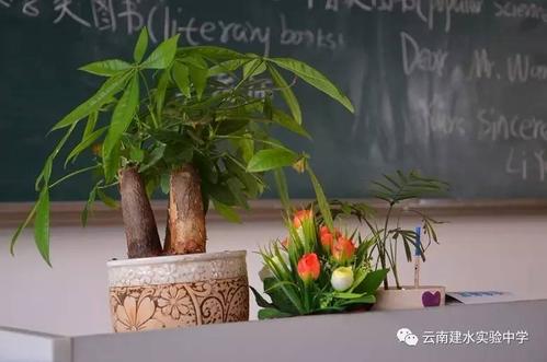 lang高三路，风雨中见彩虹