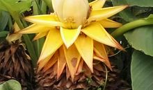 人生是一顿自助餐