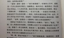 穆斯林的葬礼读书笔记