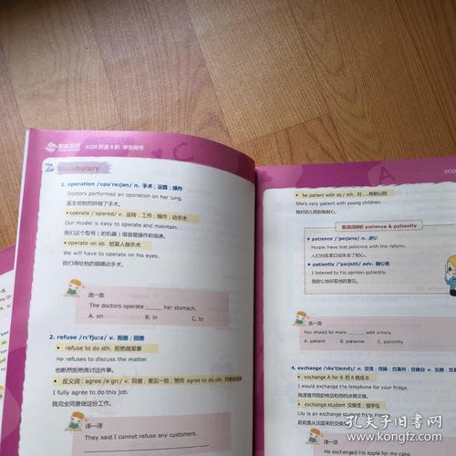 一本书中的一本书