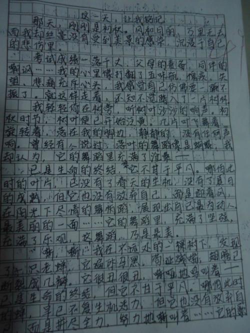 周末这一天作文