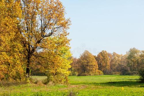 一句话描述秋天的天空