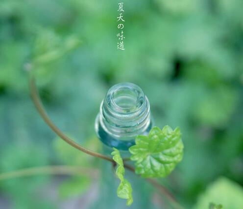 关于春天的经典句子