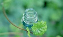 关于春天的经典语句