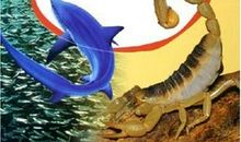 把人比喻动物的句子