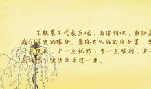 关于相识的优美句子