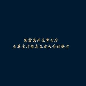 关于荣誉的美丽句子