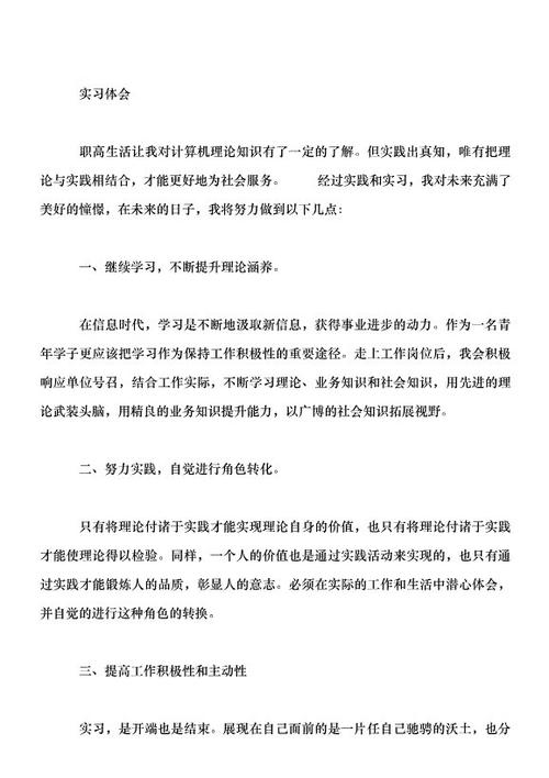 计算机实习自我总结