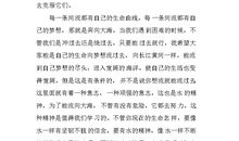 经历挫折的作文