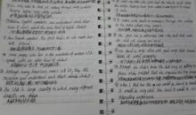 优美的英语句子