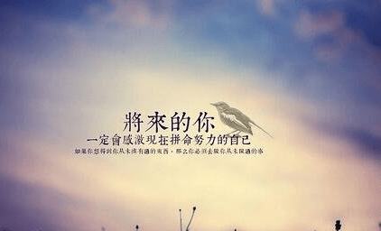 关于生活的完美句子