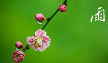 描写春季的优美句子