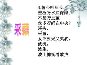 朱翔：莲花之歌