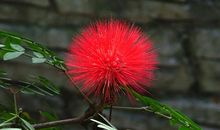 一生中应该珍惜的十种人