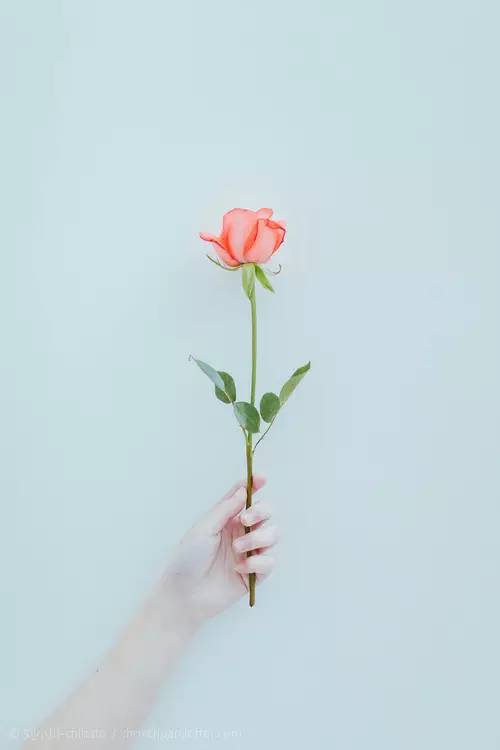 有一种幸福叫做“无”