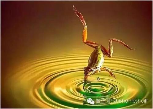 永远友善，你会快乐