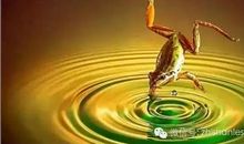 一直善良，你就会幸福